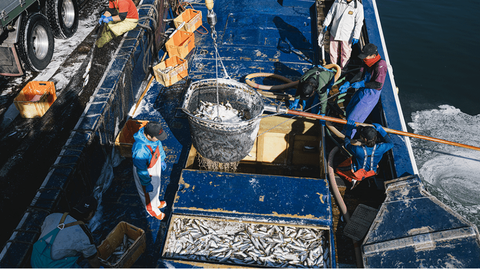 食べる人にも地球にもうれしい地産地消